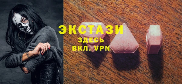 ECSTASY Богородицк